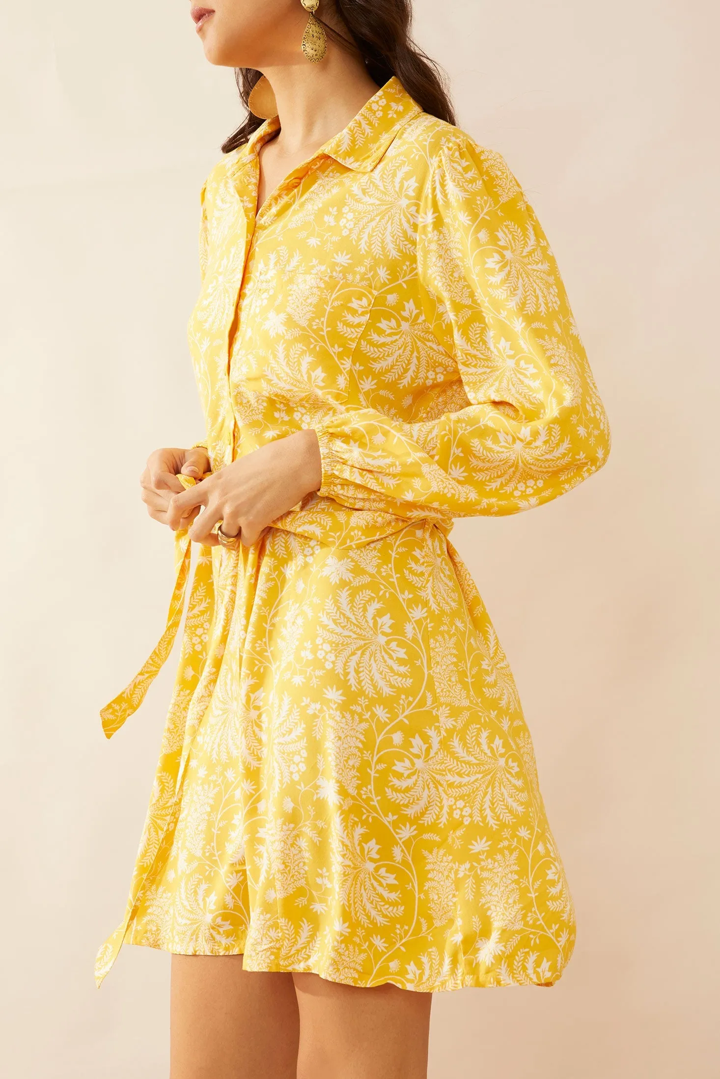 Resplendent Shirt Dress sold by Myra Bag product image thumbnail 2