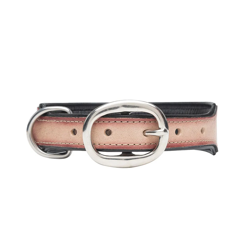 Cow Dog Trail Hand-tooled Dog Collar sold by Myra Bag