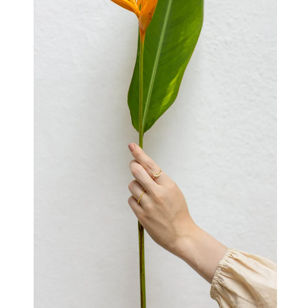 Cancave Ring sold by Myra Bag product image thumbnail 3