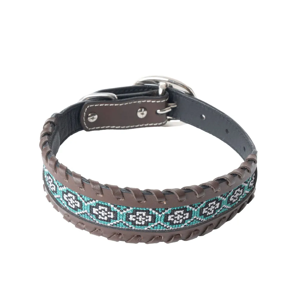 Freedom Trail Dog Collar In Black & Turquoise sold by Myra Bag