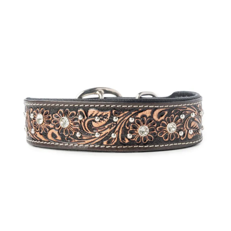 Midnight Canine Elegance Western Dog Collar in Black sold by Myra Bag