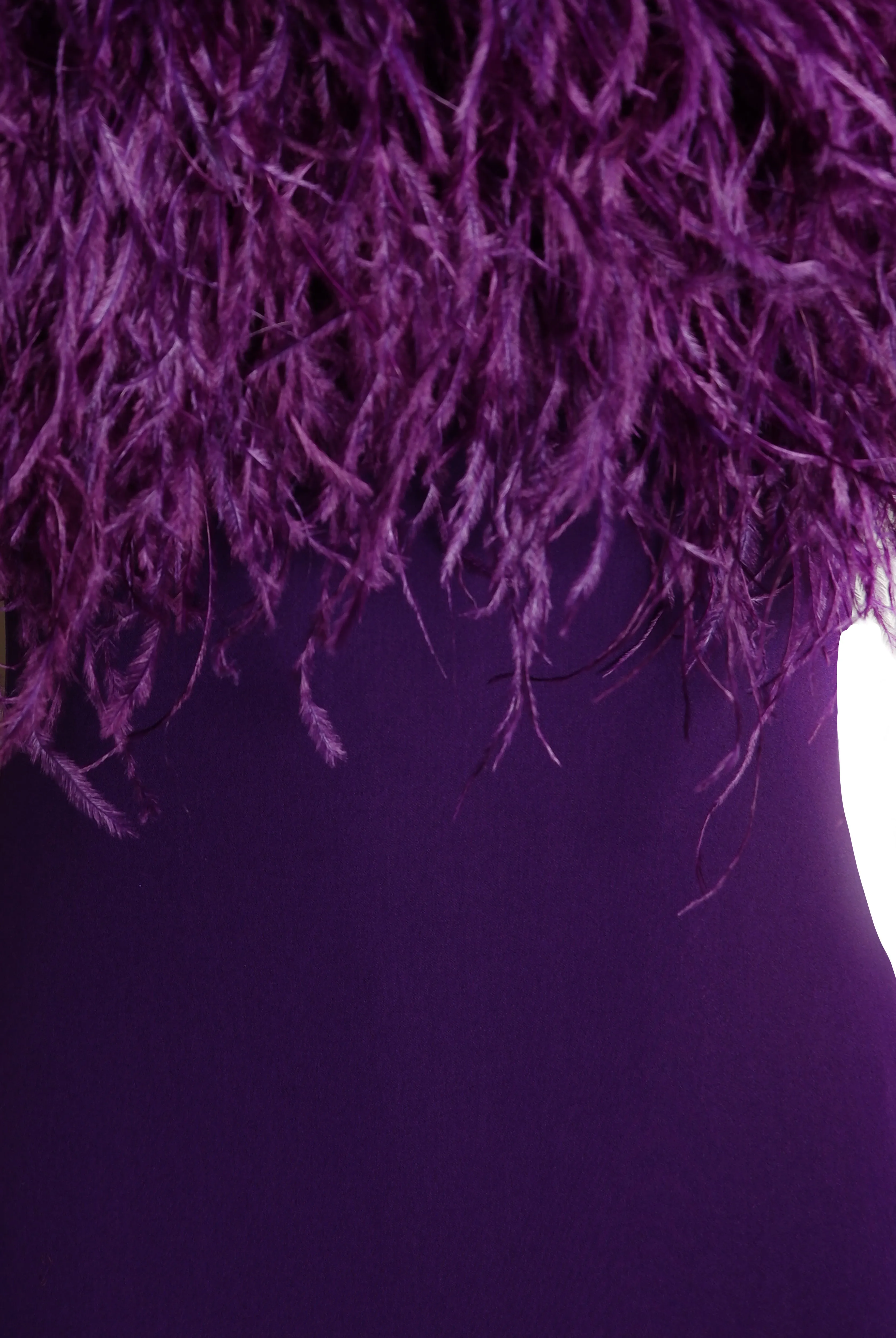 CREPE GOWN WITH FEATHER DETAIL sold by Naeem Khan product image thumbnail 4