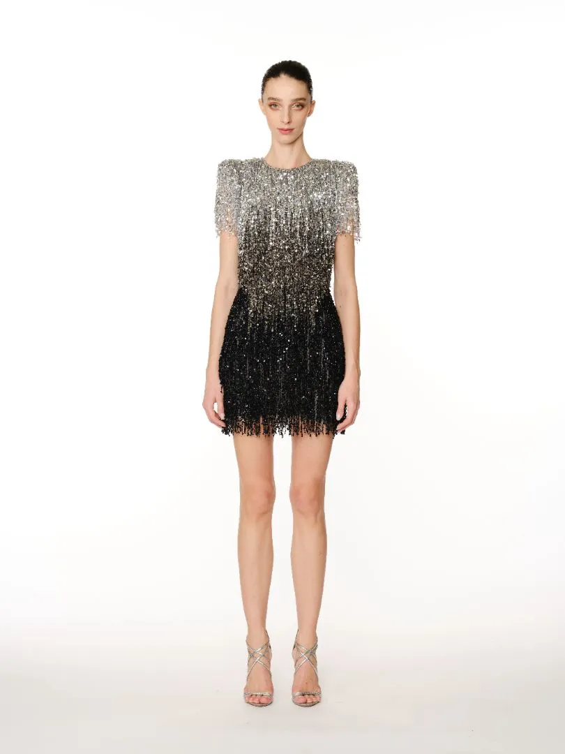 OMBRE SEQUIN FRINGE DRESS sold by Naeem Khan