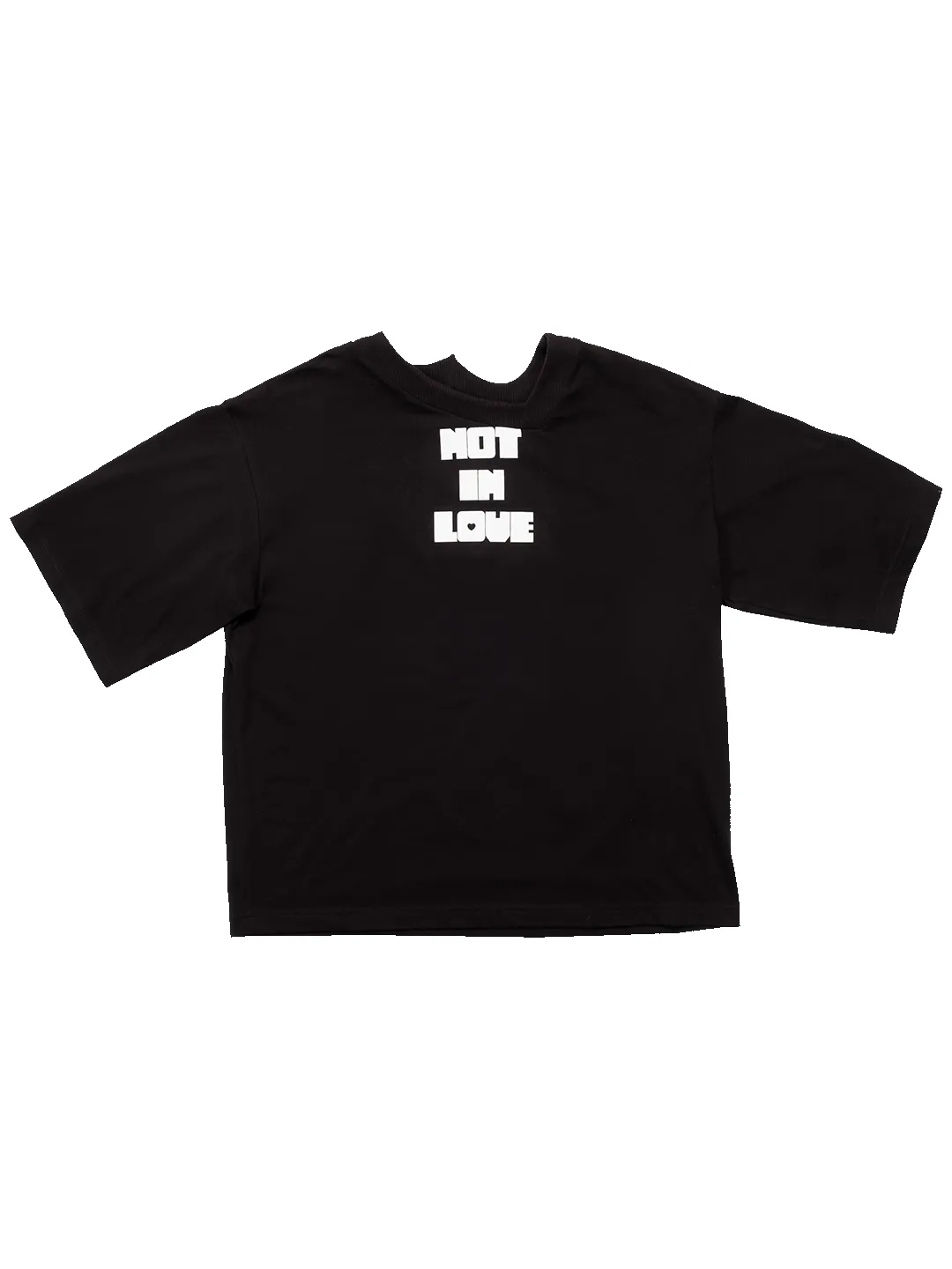 Not in Love T-shirt sold by Natasha Zinko