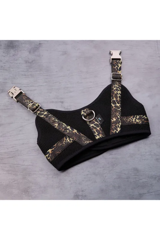 Luxe Leopard Dog Harness sold by Natori