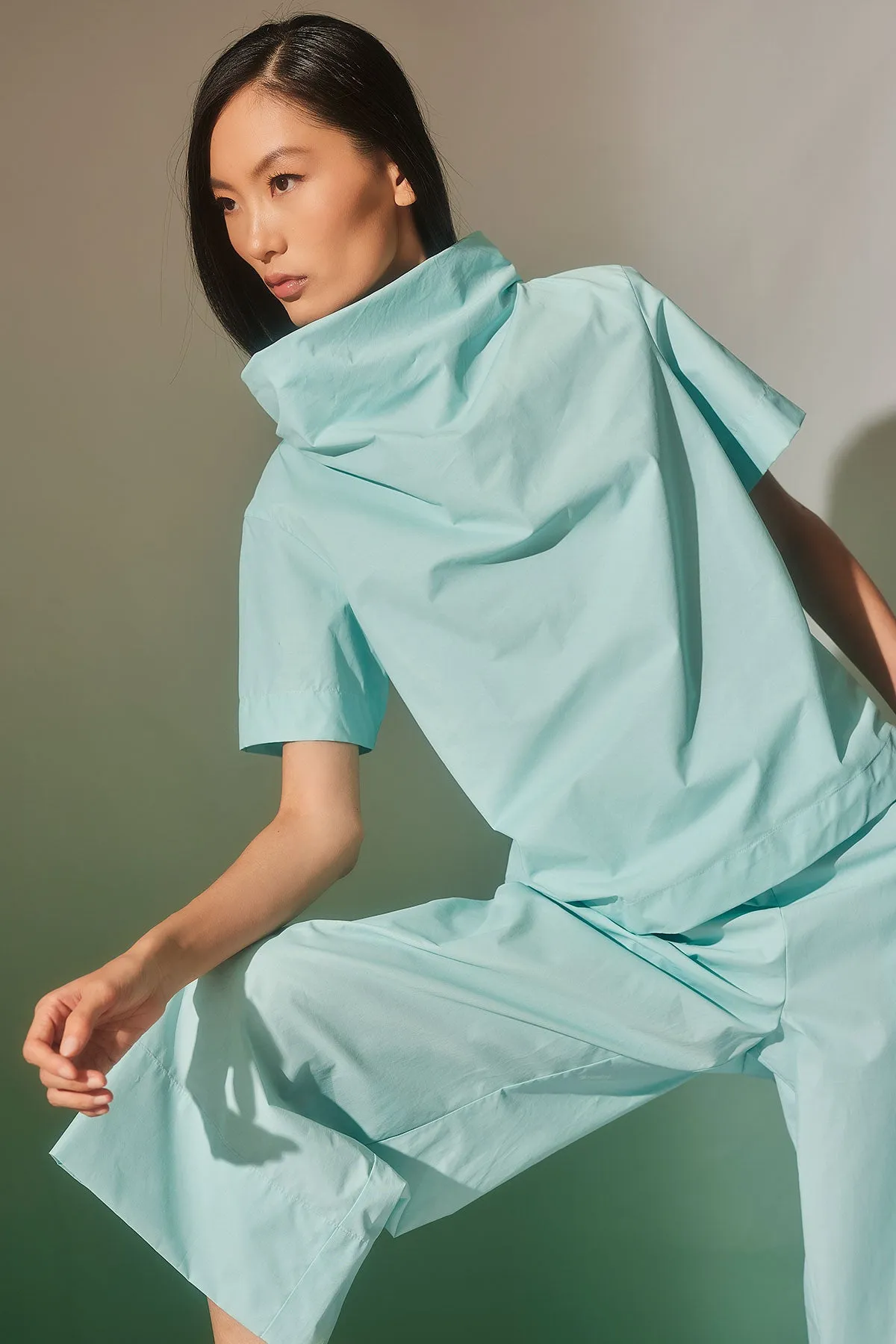 Techno Poplin Short Sleeve Funnel Neck Top sold by Natori