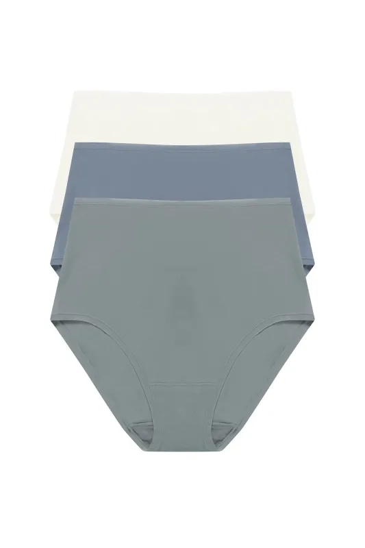 Bliss Bare Cotton High Waist Brief 3-Pack - Seaglass/Country Blue/Ivory sold by Natori