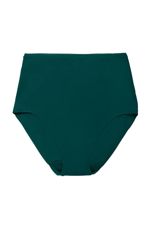 Bliss Bare Cotton High Waist Brief sold by Natori