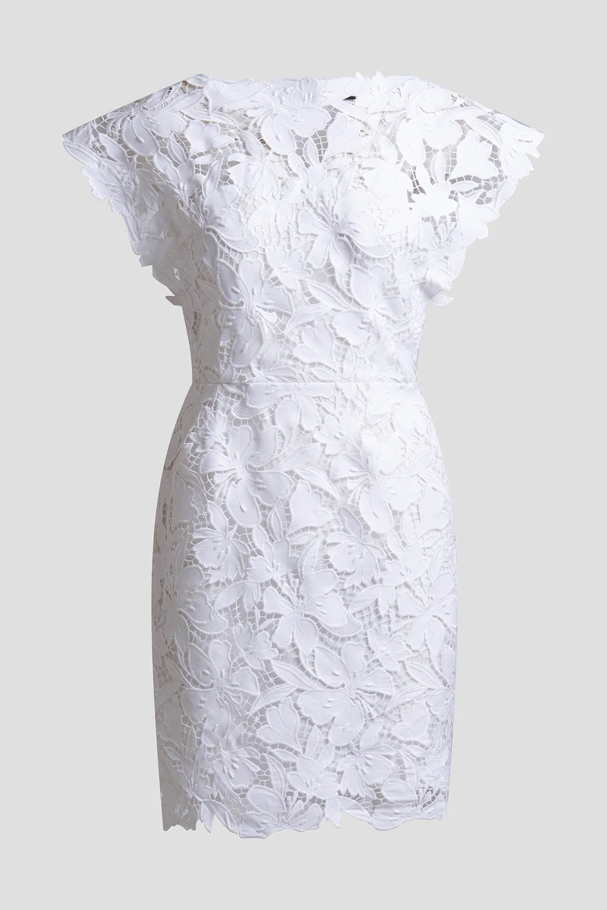 Peony Floral Lace Mini Dress sold by Natori product image thumbnail 5