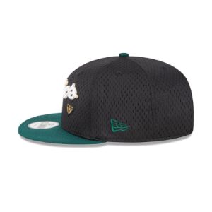 Boston Celtics Mesh Crown 9FIFTY Snapback Hat sold by New Era
