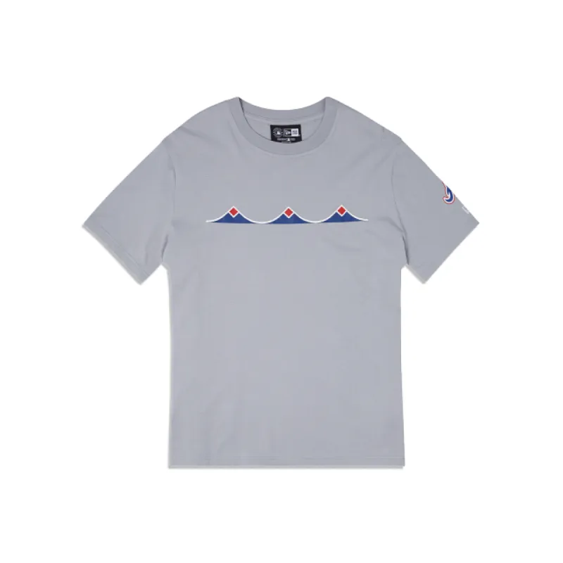Atlanta Braves City Connect Gray T-Shirt sold by New Era