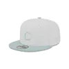 Chicago Cubs Minty Breeze Logo Select 9FIFTY Snapback Hat sold by New Era