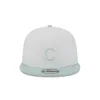 Chicago Cubs Minty Breeze Logo Select 9FIFTY Snapback Hat sold by New Era