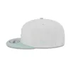 Chicago Cubs Minty Breeze Logo Select 9FIFTY Snapback Hat sold by New Era