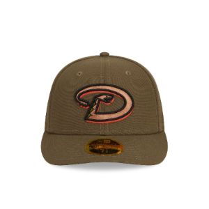 Arizona Diamondbacks Rustic Fall Low Profile 59FIFTY Fitted Hat sold by New Era