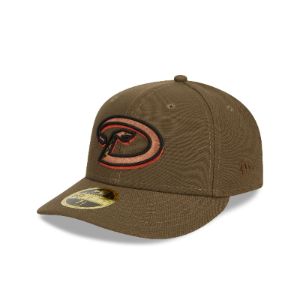 Arizona Diamondbacks Rustic Fall Low Profile 59FIFTY Fitted Hat sold by New Era