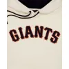 San Francisco Giants Ballpark Classics Hoodie sold by New Era