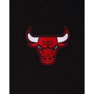 Chicago Bulls Logo Select Hoodie sold by New Era