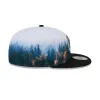 Florida Panthers Photoreal 59FIFTY Fitted Hat sold by New Era