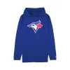 Toronto Blue Jays Active Hoodie sold by New Era