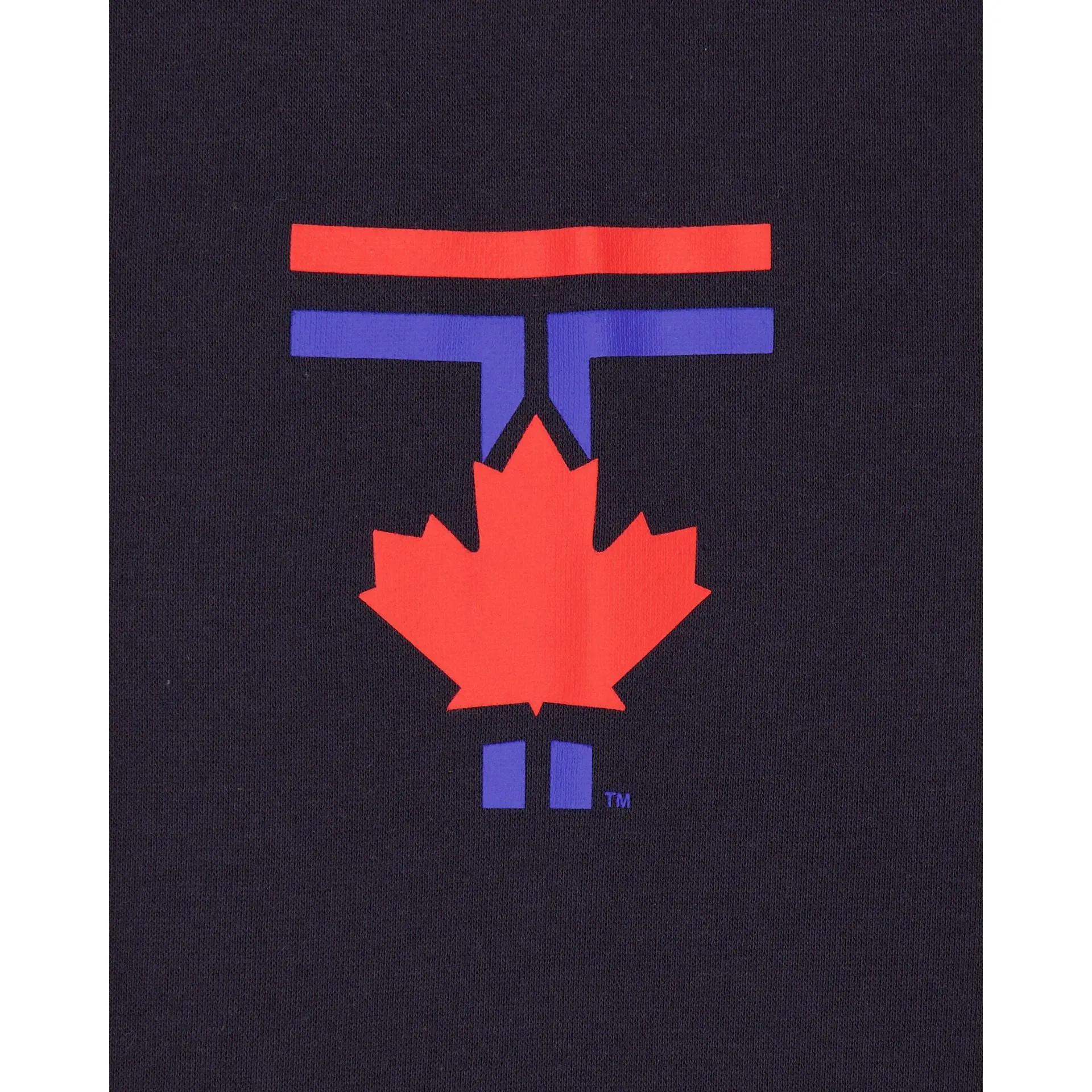 Toronto Blue Jays City Connect Hoodie sold by New Era product image thumbnail 3