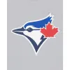 Toronto Blue Jays Throwback T-Shirt sold by New Era