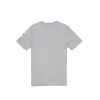 Chicago Cubs City Connect Gray T-Shirt sold by New Era