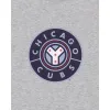 Chicago Cubs City Connect Gray T-Shirt sold by New Era