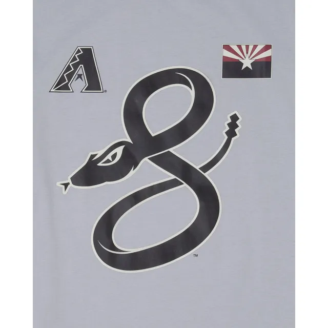Arizona Diamondbacks City Connect Gray T-Shirt sold by New Era product image thumbnail 3