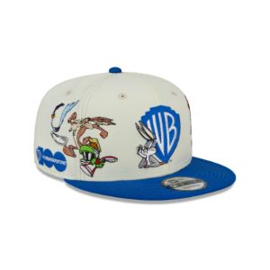 Warner Bros. 100th Anniversary 9FIFTY Snapback Hat | Parallel