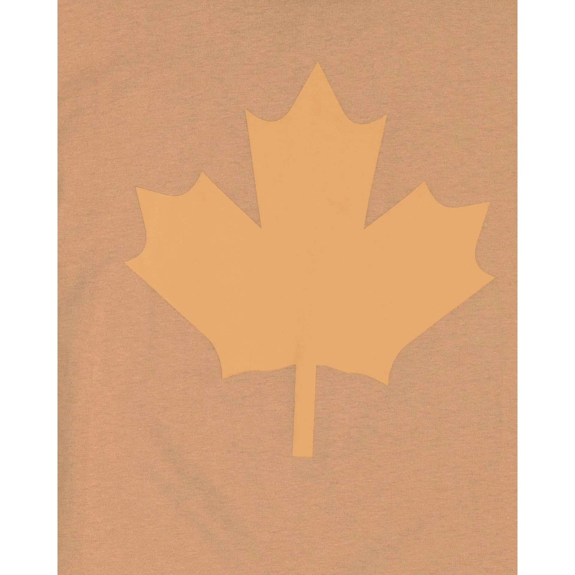 Toronto Raptors 2023 City Edition Tan T-Shirt sold by New Era product image thumbnail 5