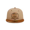 Charleston RiverDogs Monster Curse 59FIFTY Fitted Hat sold by New Era