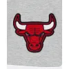 Chicago Bulls Gray Logo Select Shorts sold by New Era
