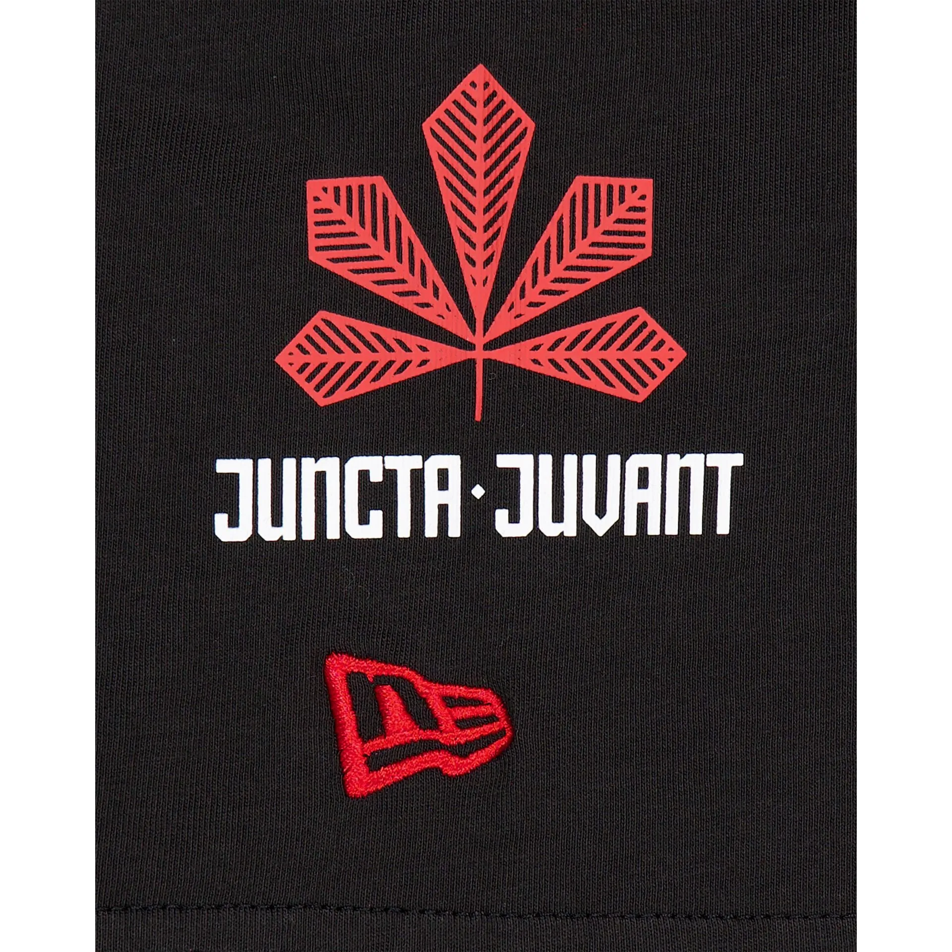 Cincinnati Reds City Connect T-Shirt sold by New Era product image thumbnail 4