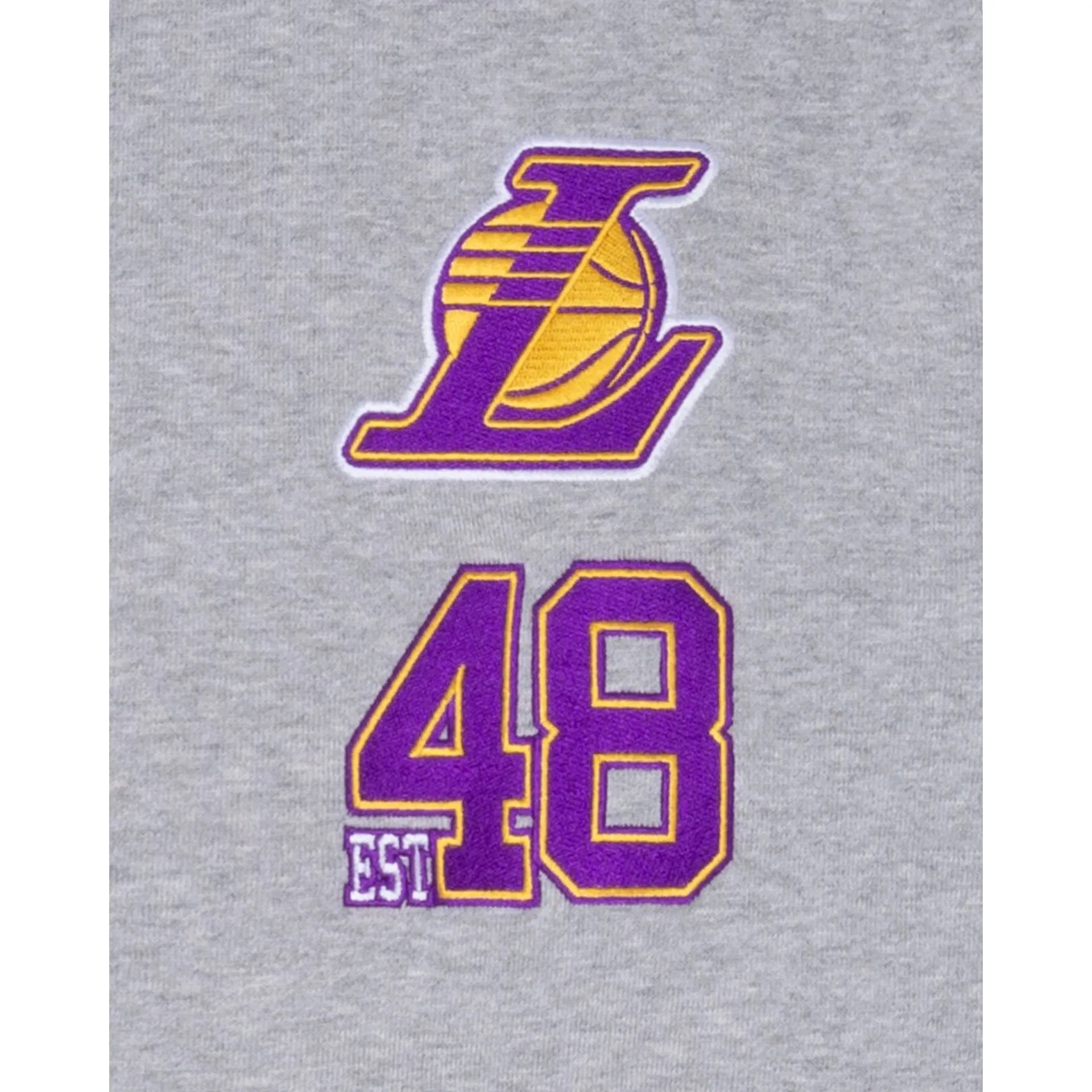 Los Angeles Lakers Sport Night Hoodie sold by New Era product image thumbnail 4