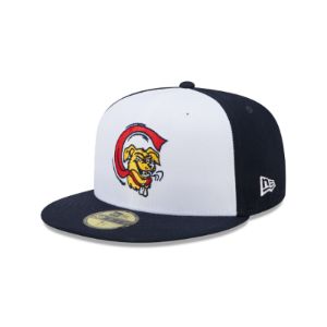 Marvel X Charleston RiverDogs 59FIFTY Fitted Hat sold by New Era