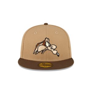 Looney Tunes Wile E Coyote 59FIFTY Fitted Hat sold by New Era