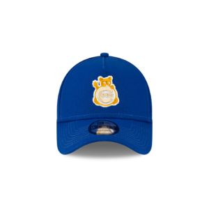 Chicago Cubs Gold Logo 9FORTY A-Frame Snapback sold by New Era