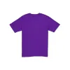 Phoenix Suns Sport Classics Purple T-Shirt sold by New Era