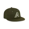 Arizona Diamondbacks New Olive Wool Retro Crown 9FIFTY Adjustable Hat sold by New Era