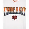 Chicago Bears Sport Classics White Crewneck sold by New Era
