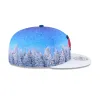 Minnesota Twins Winter Photoreal 9FIFTY Snapback Hat sold by New Era