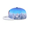 Minnesota Twins Winter Photoreal 9FIFTY Snapback Hat sold by New Era