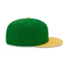 Minnesota North Stars Vintage 59FIFTY Fitted Hat sold by New Era