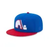 Quebec Nordiques Vintage 59FIFTY Fitted Hat sold by New Era
