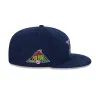 Just Caps Floral Corduroy Dallas Cowboys 59FIFTY Fitted Hat sold by New Era