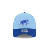 Chicago Cubs 2025 Spring Training 39THIRTY Stretch Fit Hat sold by New Era