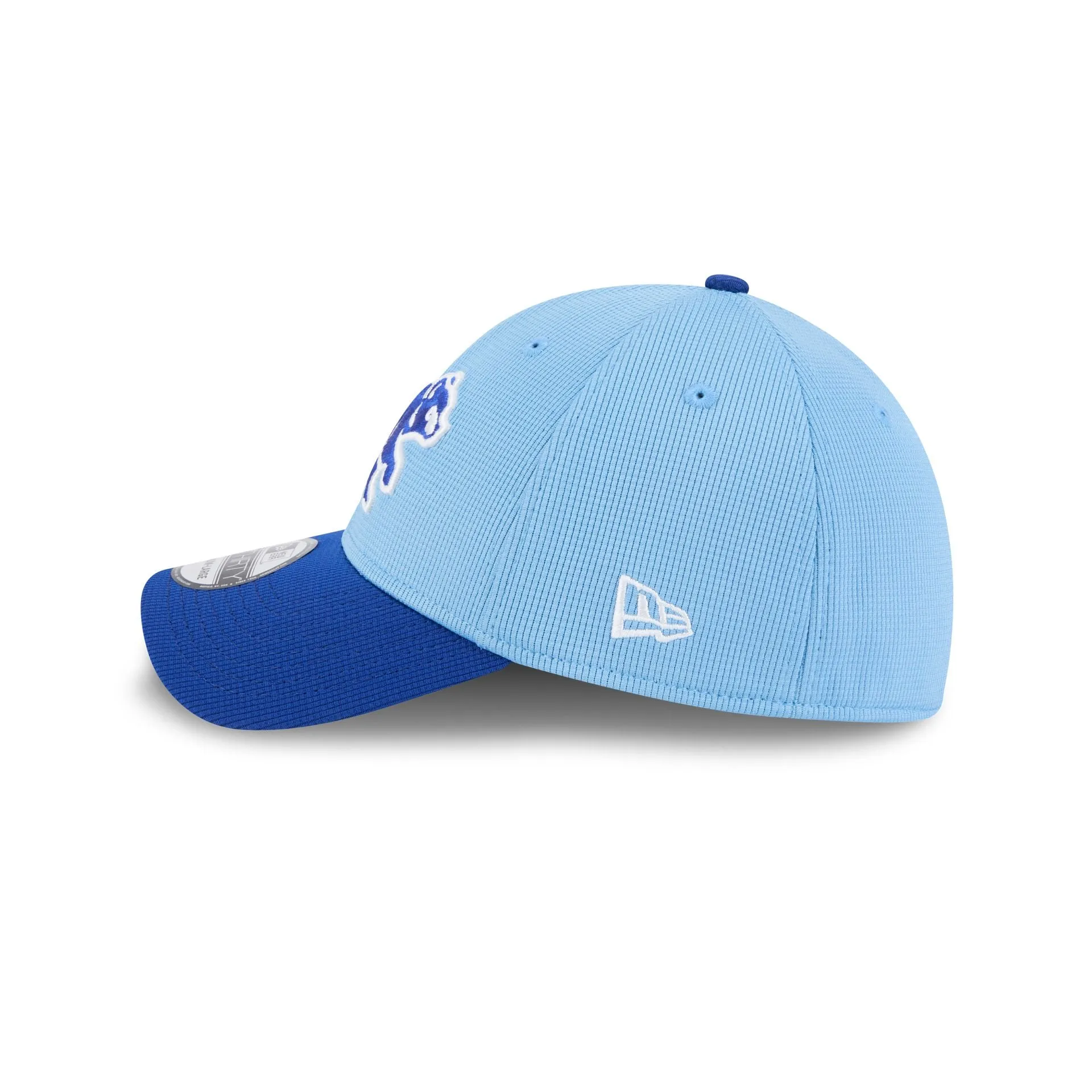 Chicago Cubs 2025 Spring Training 39THIRTY Stretch Fit Hat sold by New Era product image thumbnail 5