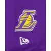 Los Angeles Lakers Team Color Logo Select Hoodie sold by New Era