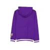 Los Angeles Lakers Team Color Logo Select Hoodie sold by New Era
